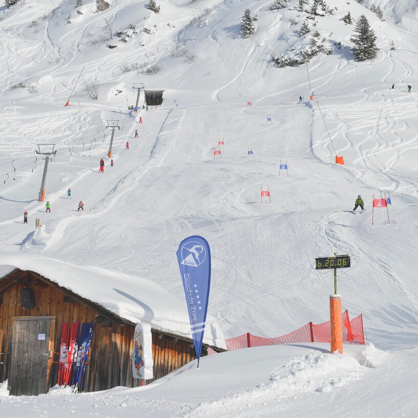 A ski slope with gates and skiers, plus a wooden hut in the foreground.