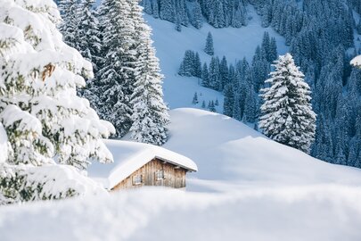 Snow-covered wooden cabin and firs at Lech Zürs ski resort.