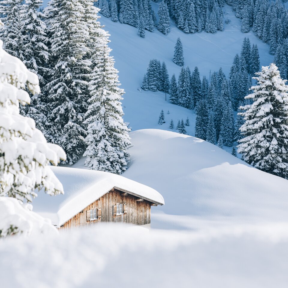 Schneebedeckte Holzhütte und Tannen in der Skiregion Lech Zürs.