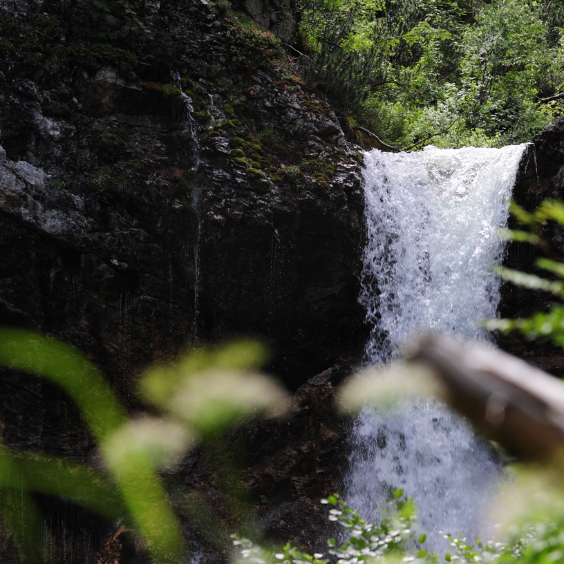 A small waterfall amidst green vegetation along the Green Ring hiking trail.