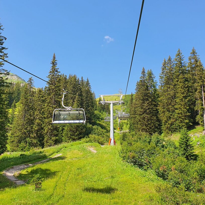 A chairlift traveling over a green hillside at Kriegerhorn family mountain, surrounded by a pine forest.