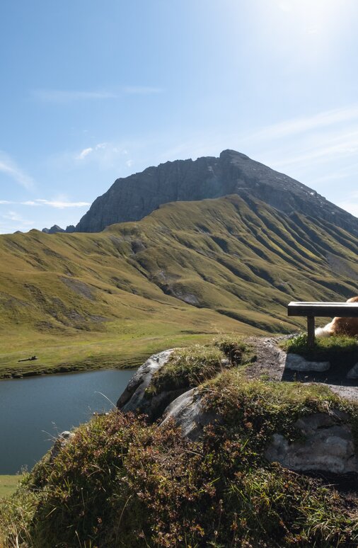 Ein Wanderer sitzt auf einer Bank und genießt die Aussicht auf den Bergsee am Panoramaberg Rüfikopf.