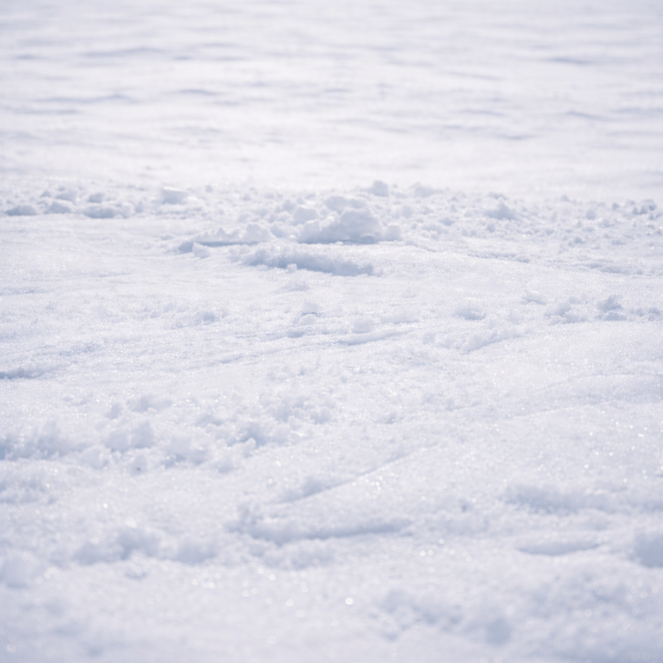 Close-up of corn snow under the sun.