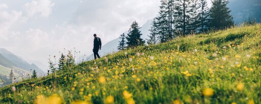 Person walking across a blooming meadow with yellow flowers.