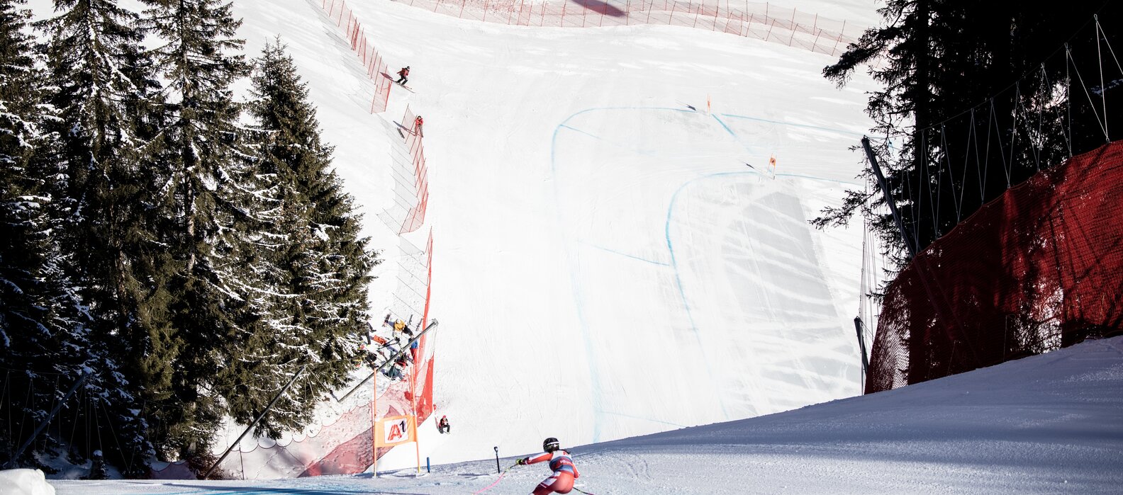 Ski racer on a World Cup course in a forest area.