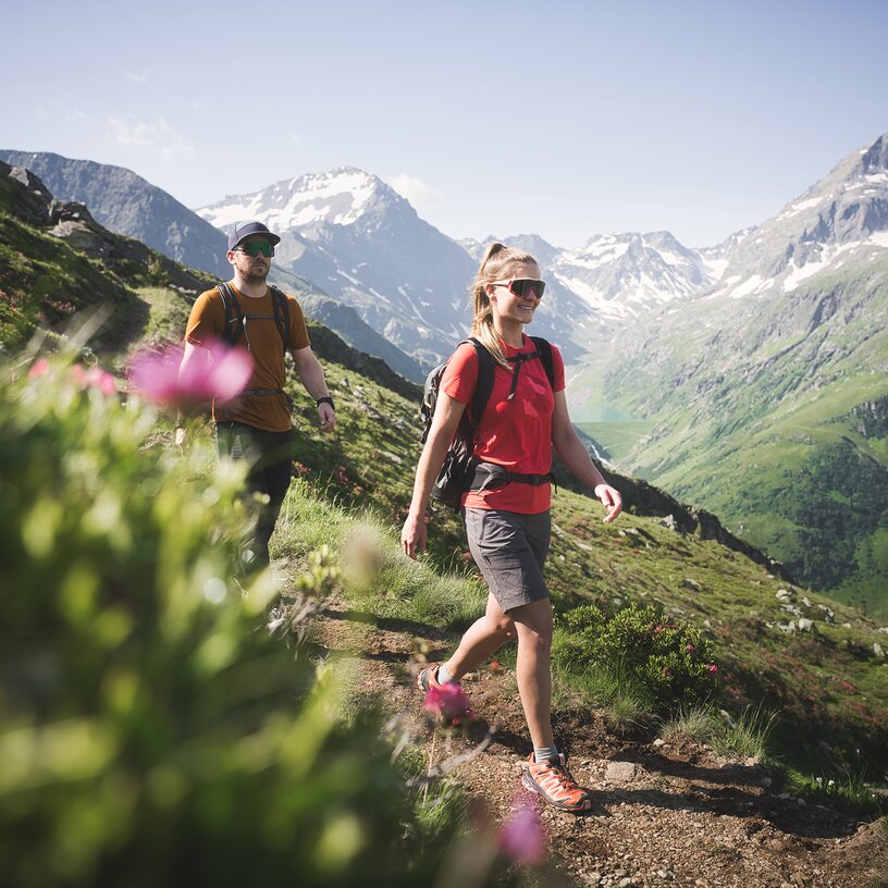 Two people hiking in the Alps with snowy peaks in the background.