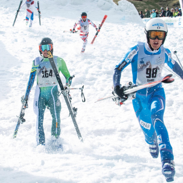 Athletes competing in a ski race on a snowy mountain course with bib numbers.