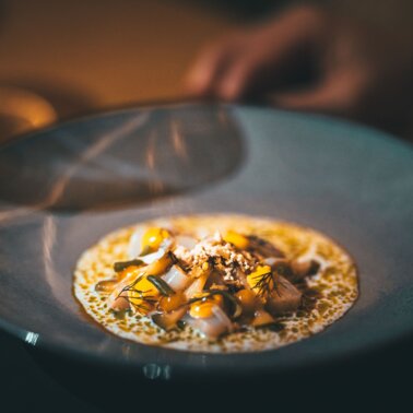 Fein angerichtetes Gericht in einer grauen Schale, dekoriert mit Kräutern.