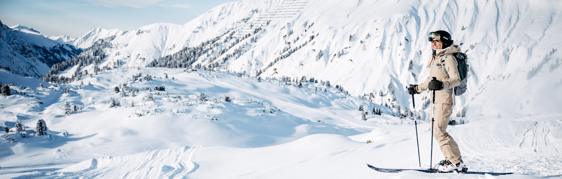 Skier standing in snow-covered landscape with mountains in the background.