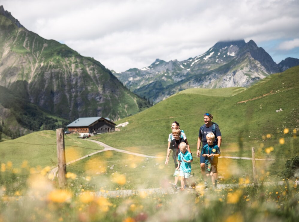 Family hiking through blooming alpine meadows along a path.