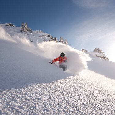 Skifahrer in roter Jacke fährt im Pulverschnee bergab.