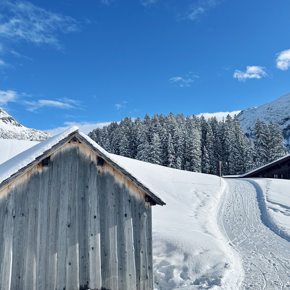 Schneebedeckte Berghütte vor einem verschneiten Wald und blauem Himmel.